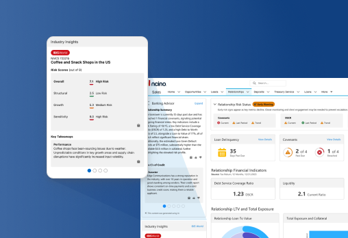 Screen of IBISWorld nCino integration